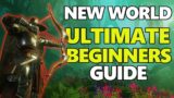 NEW WORLD MMO – ULTIMATE Beginners Guide!