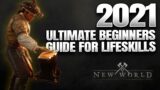 New World’s Ultimate Life Skills Guide – All Gathering & Crafting Jobs, Everything To Know (2021)